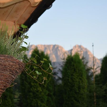 Villa Fiedorowka Zakopane Esterno foto