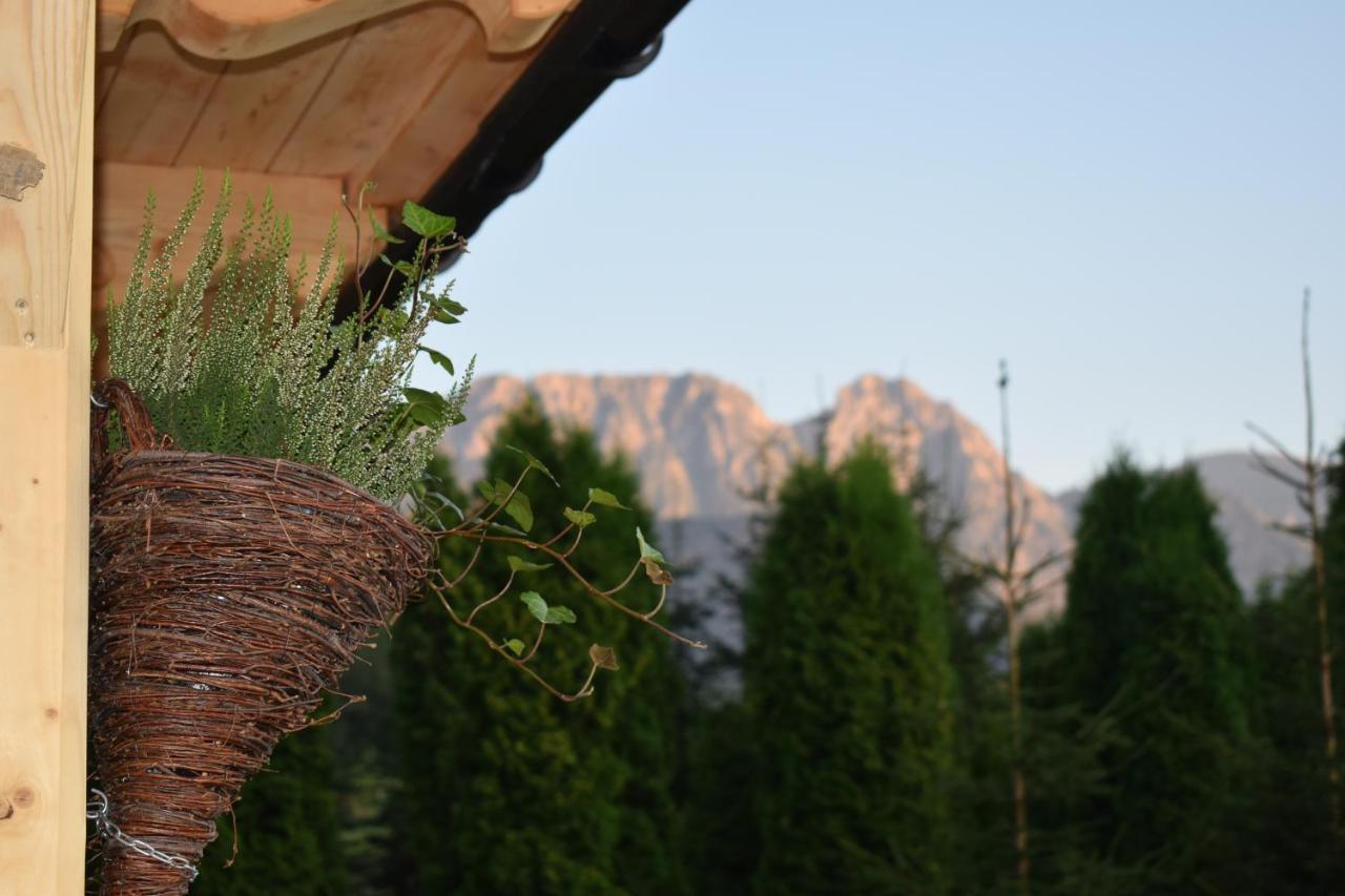 Villa Fiedorowka Zakopane Esterno foto