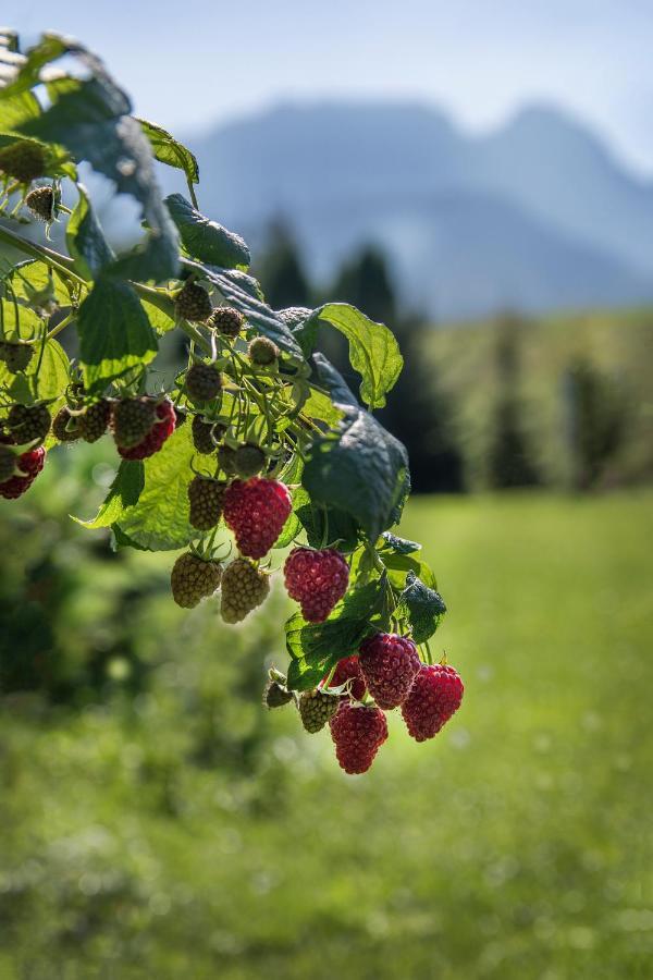Villa Fiedorowka Zakopane Esterno foto