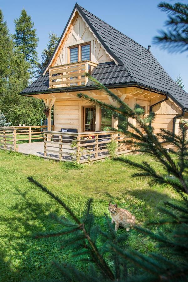 Villa Fiedorowka Zakopane Esterno foto