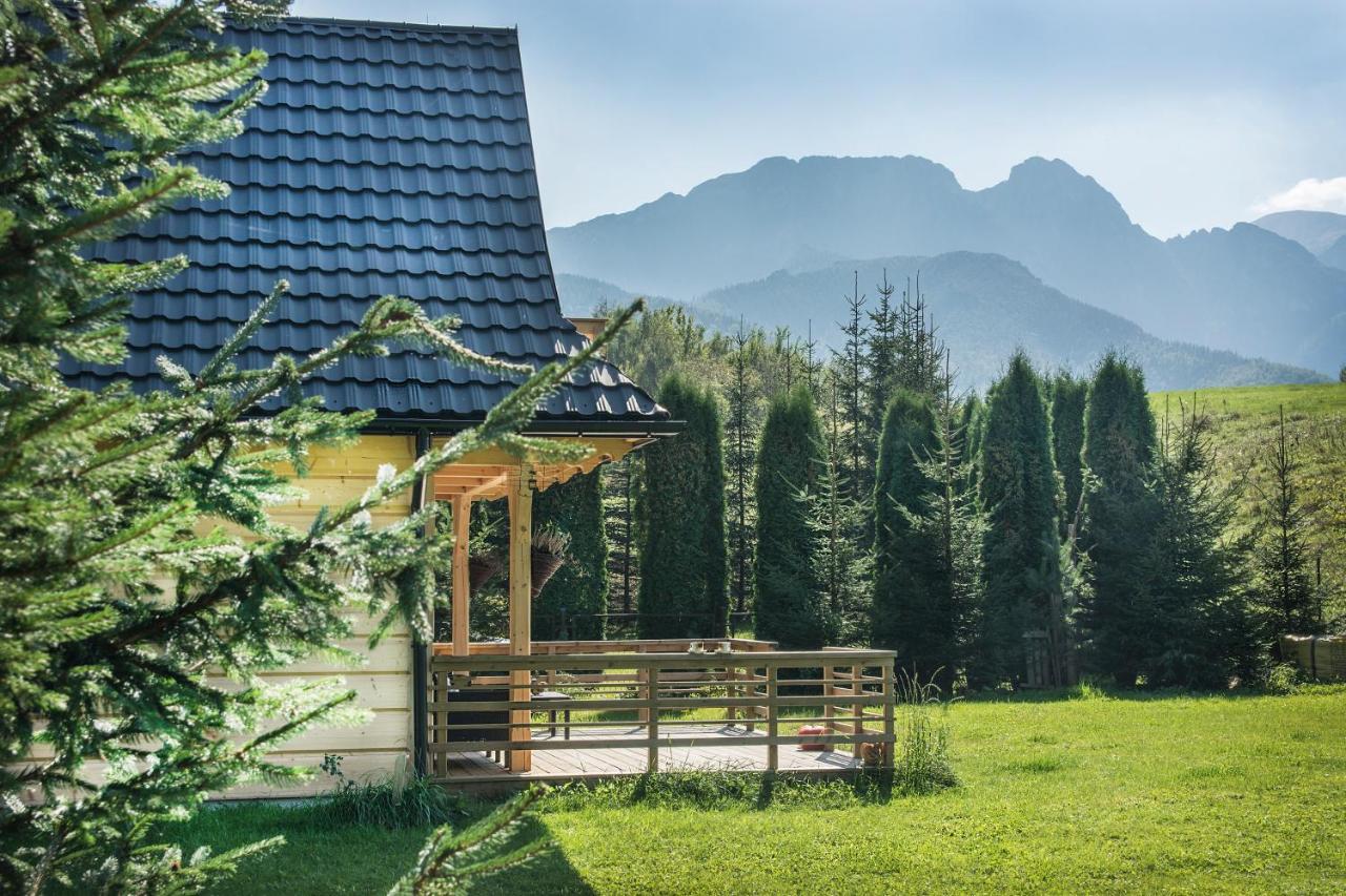 Villa Fiedorowka Zakopane Esterno foto
