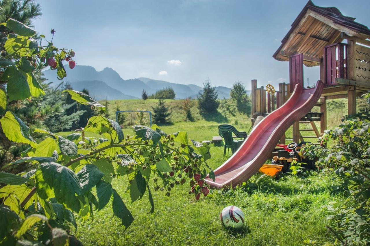 Villa Fiedorowka Zakopane Esterno foto