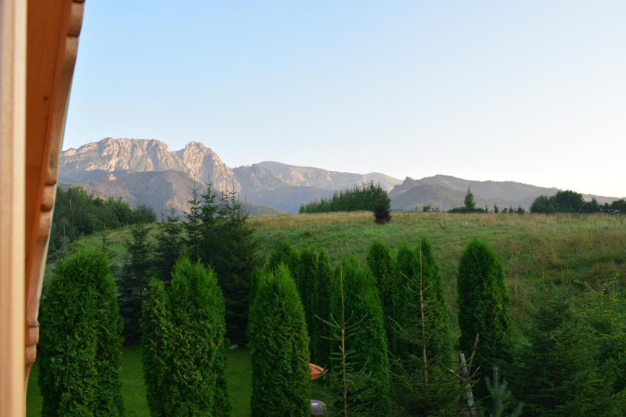 Villa Fiedorowka Zakopane Esterno foto
