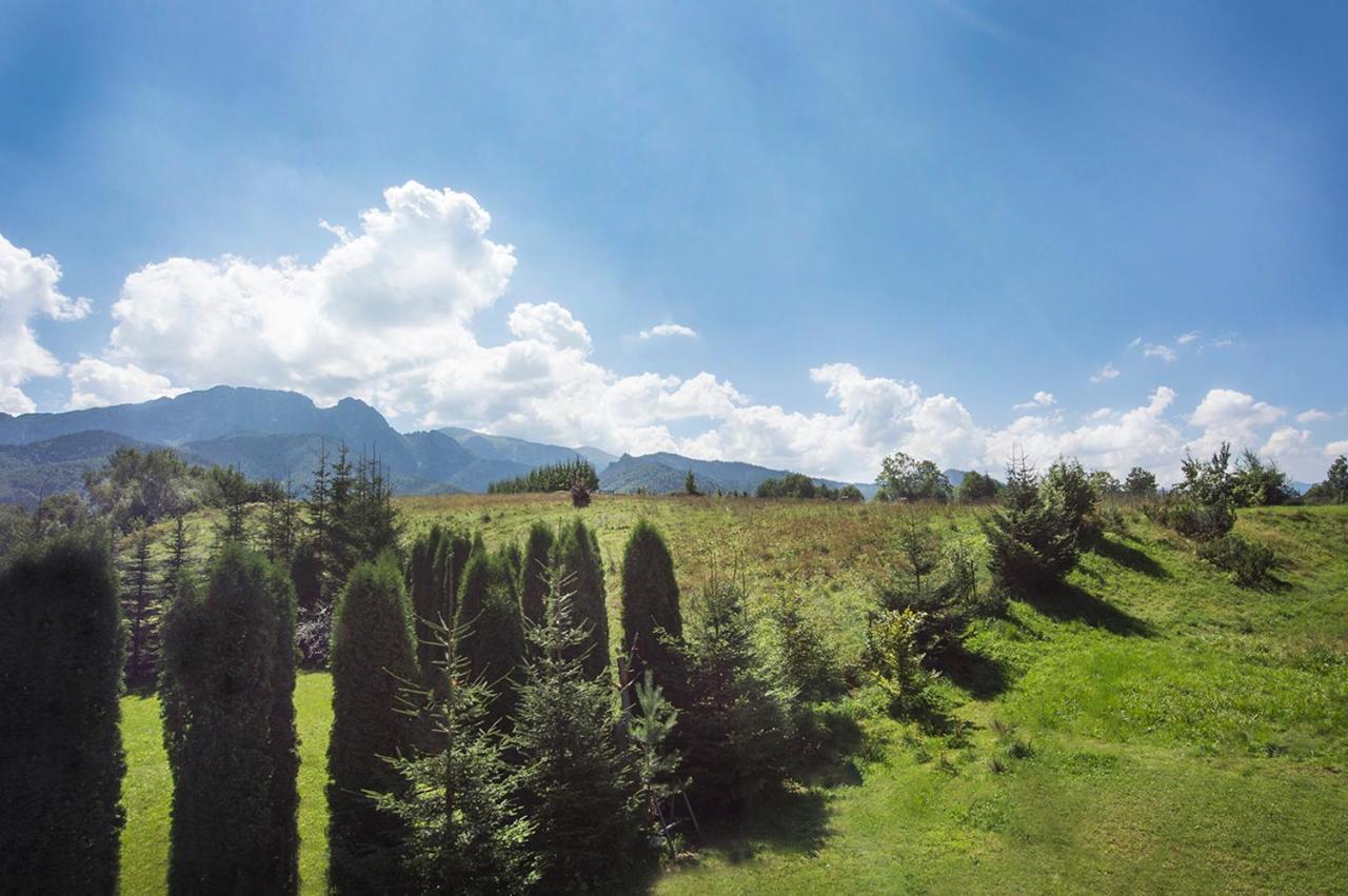 Villa Fiedorowka Zakopane Esterno foto